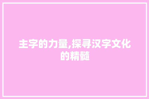 主字的力量,探寻汉字文化的精髓