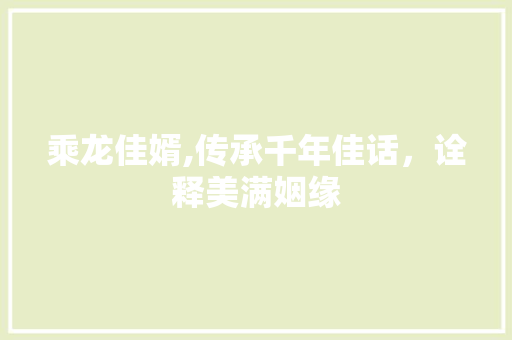 乘龙佳婿,传承千年佳话，诠释美满姻缘