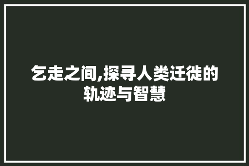 乞走之间,探寻人类迁徙的轨迹与智慧