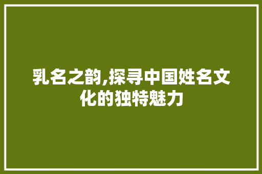 乳名之韵,探寻中国姓名文化的独特魅力