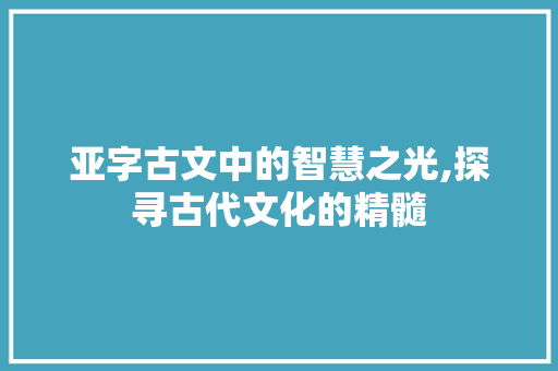 亚字古文中的智慧之光,探寻古代文化的精髓