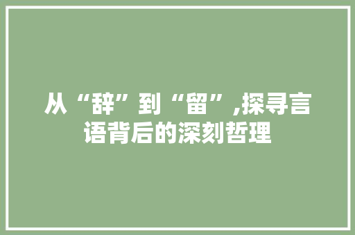 从“辞”到“留”,探寻言语背后的深刻哲理