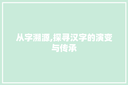 从字溯源,探寻汉字的演变与传承