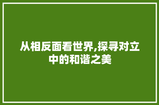 从相反面看世界,探寻对立中的和谐之美