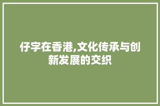 仔字在香港,文化传承与创新发展的交织