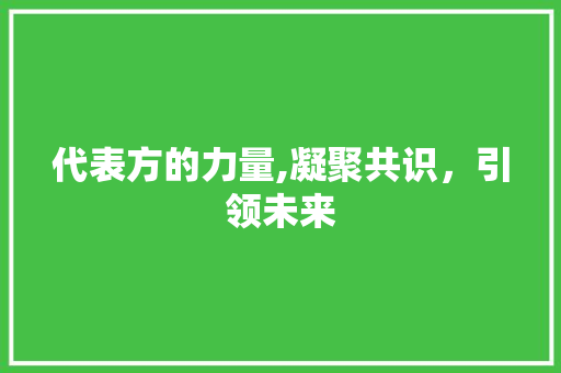 代表方的力量,凝聚共识，引领未来