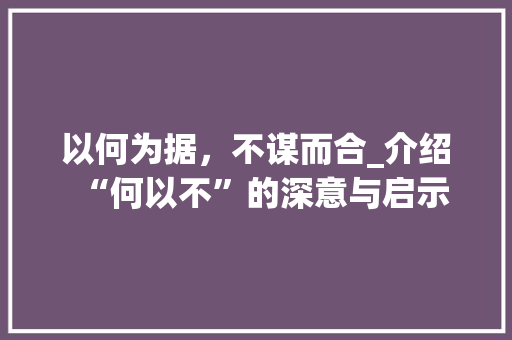 以何为据，不谋而合_介绍“何以不”的深意与启示