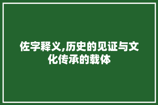 佐字释义,历史的见证与文化传承的载体