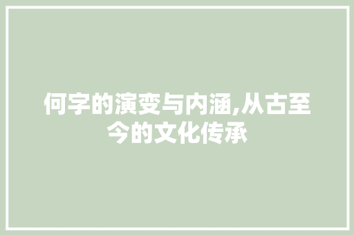 何字的演变与内涵,从古至今的文化传承