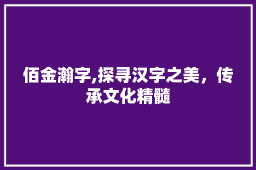 佰金瀚字,探寻汉字之美，传承文化精髓