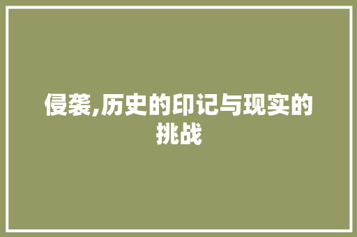 侵袭,历史的印记与现实的挑战