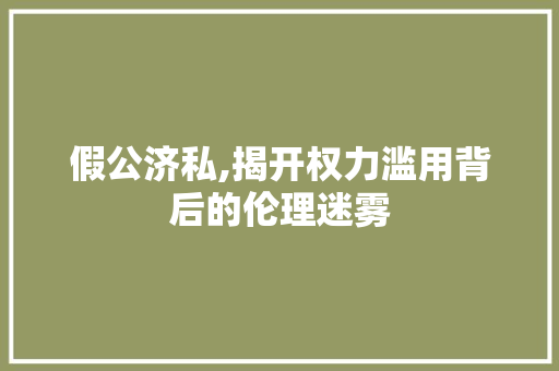 假公济私,揭开权力滥用背后的伦理迷雾