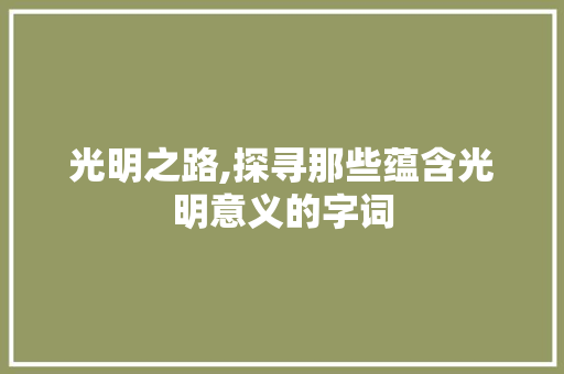 光明之路,探寻那些蕴含光明意义的字词