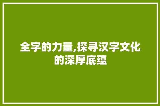 全字的力量,探寻汉字文化的深厚底蕴