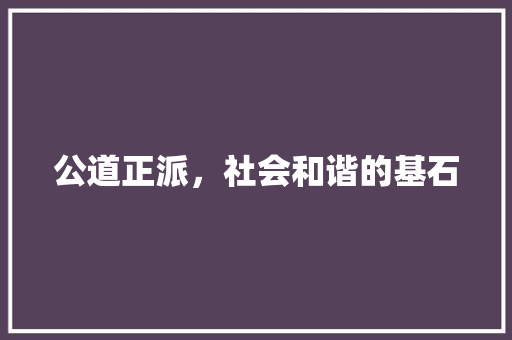 公道正派，社会和谐的基石