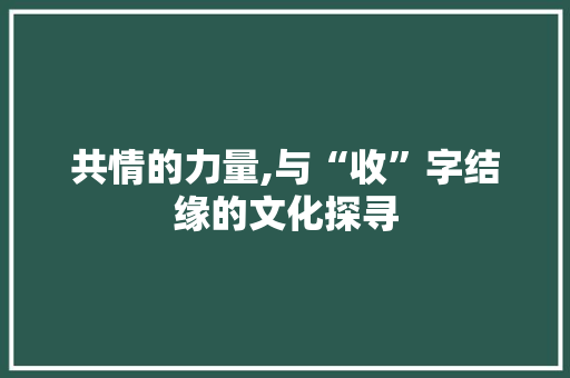 共情的力量,与“收”字结缘的文化探寻
