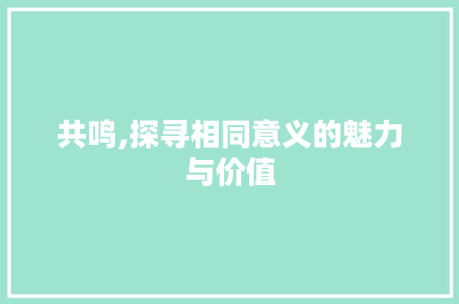 共鸣,探寻相同意义的魅力与价值
