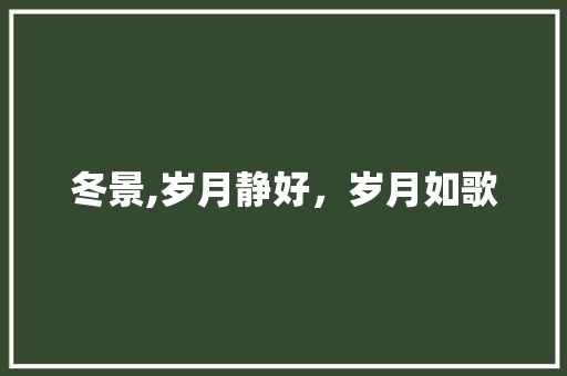 冬景,岁月静好，岁月如歌