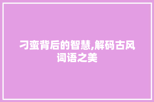 刁蛮背后的智慧,解码古风词语之美