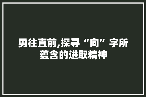 勇往直前,探寻“向”字所蕴含的进取精神