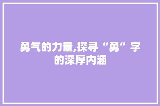 勇气的力量,探寻“勇”字的深厚内涵