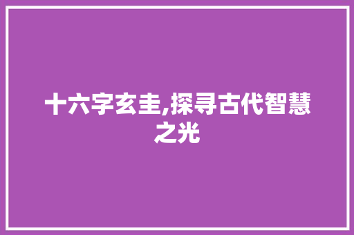 十六字玄圭,探寻古代智慧之光