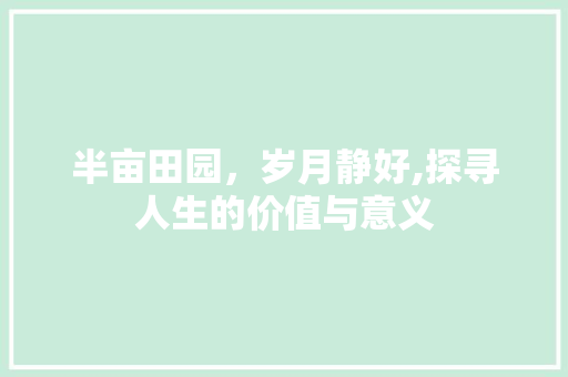 半亩田园，岁月静好,探寻人生的价值与意义