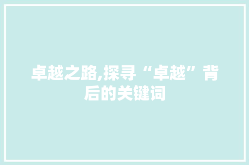 卓越之路,探寻“卓越”背后的关键词