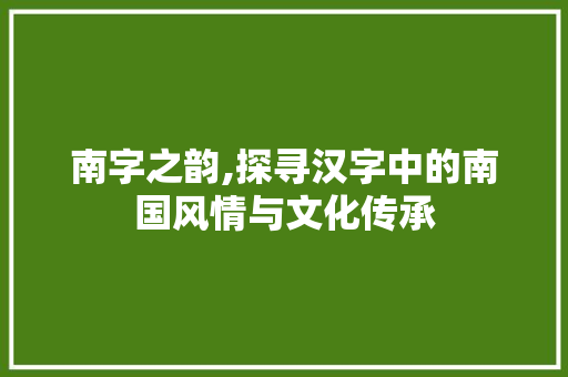 南字之韵,探寻汉字中的南国风情与文化传承