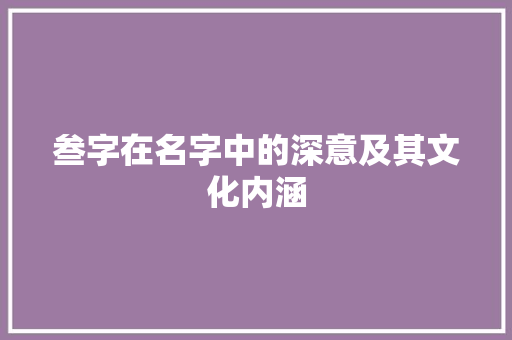 叁字在名字中的深意及其文化内涵