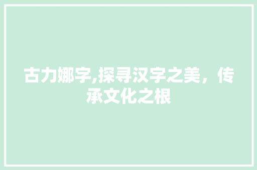 古力娜字,探寻汉字之美，传承文化之根