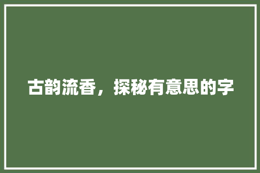 古韵流香，探秘有意思的字