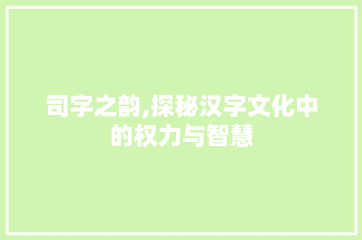 司字之韵,探秘汉字文化中的权力与智慧