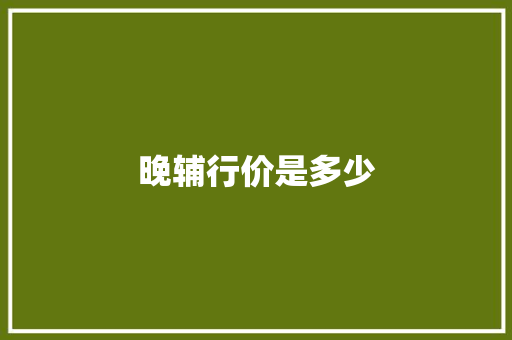 晚辅行价是多少