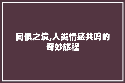 同惧之境,人类情感共鸣的奇妙旅程