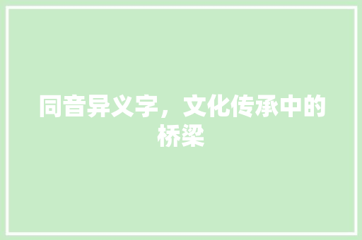 同音异义字，文化传承中的桥梁