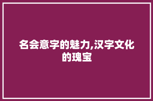 名会意字的魅力,汉字文化的瑰宝