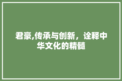 君豪,传承与创新，诠释中华文化的精髓