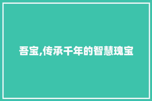 吾宝,传承千年的智慧瑰宝