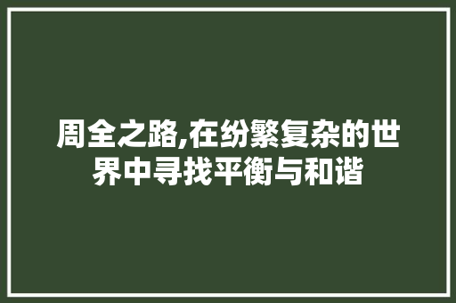 周全之路,在纷繁复杂的世界中寻找平衡与和谐