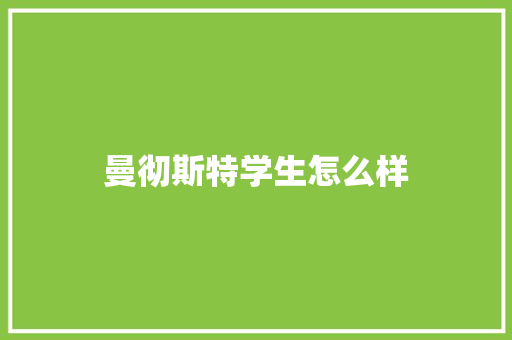 曼彻斯特学生怎么样