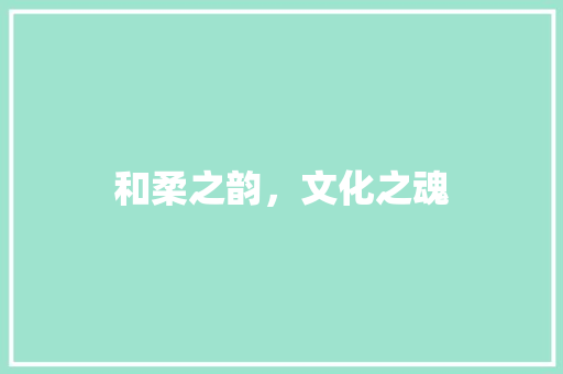 和柔之韵，文化之魂