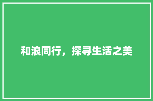 和浪同行，探寻生活之美