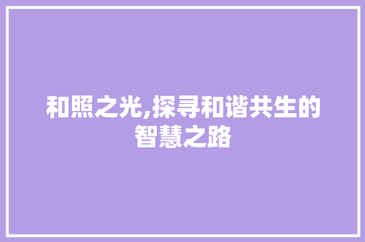 和照之光,探寻和谐共生的智慧之路