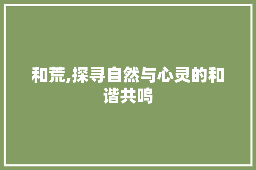 和荒,探寻自然与心灵的和谐共鸣