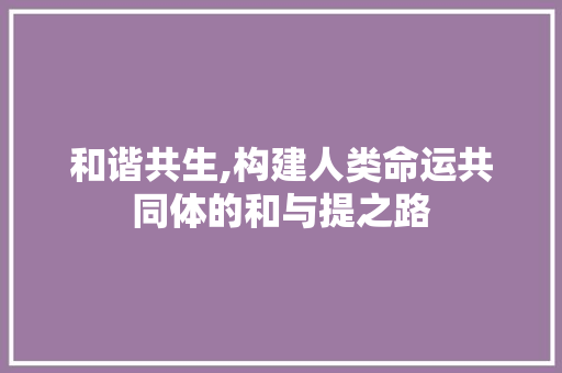 和谐共生,构建人类命运共同体的和与提之路