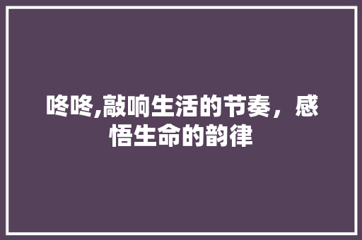 咚咚,敲响生活的节奏，感悟生命的韵律