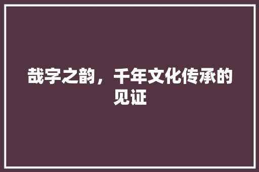 哉字之韵，千年文化传承的见证