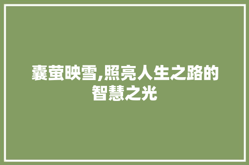 囊萤映雪,照亮人生之路的智慧之光