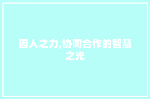 因人之力,协同合作的智慧之光